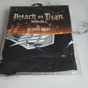Ripple Junction Attack on Titan Black Boxer Briefs